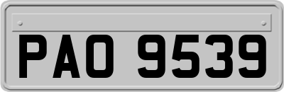 PAO9539