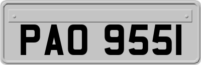 PAO9551