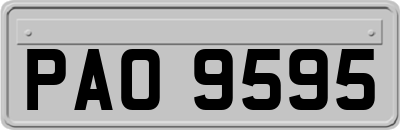 PAO9595