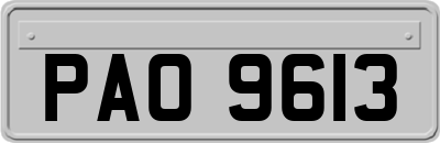 PAO9613