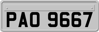 PAO9667