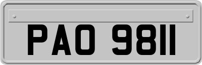PAO9811