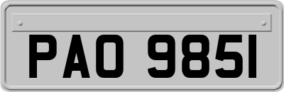 PAO9851