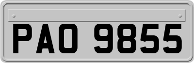 PAO9855