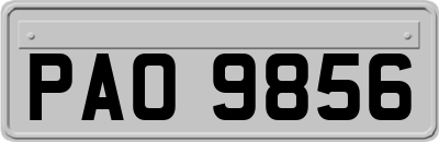 PAO9856