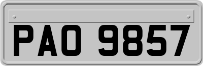 PAO9857