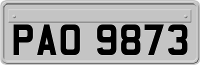PAO9873
