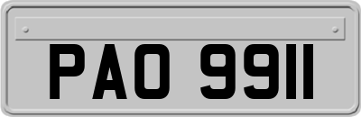 PAO9911