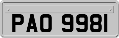 PAO9981