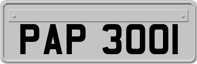 PAP3001