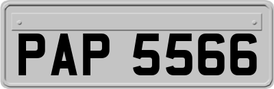PAP5566
