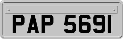 PAP5691