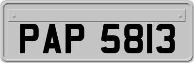 PAP5813