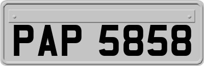 PAP5858