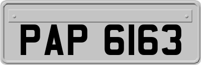 PAP6163