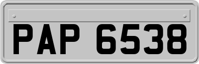PAP6538