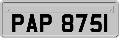PAP8751
