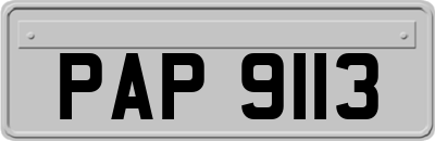 PAP9113