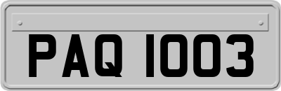 PAQ1003