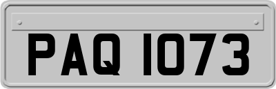 PAQ1073