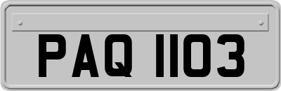 PAQ1103