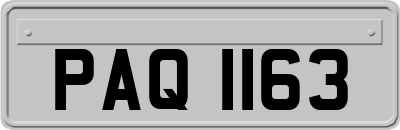 PAQ1163