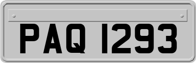 PAQ1293