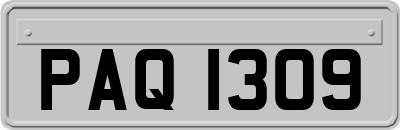 PAQ1309