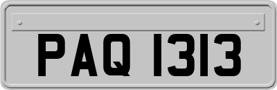 PAQ1313