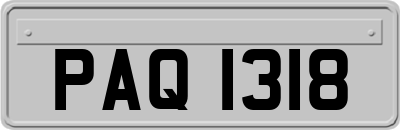 PAQ1318