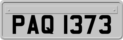 PAQ1373