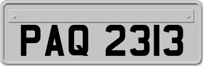 PAQ2313