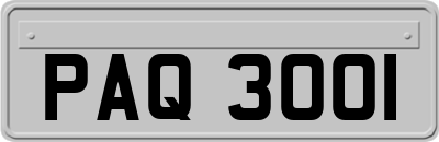 PAQ3001