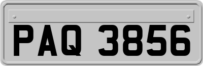 PAQ3856