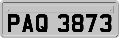 PAQ3873