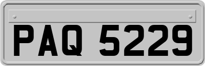 PAQ5229