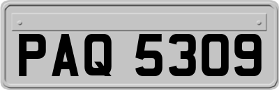 PAQ5309