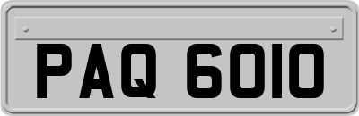 PAQ6010