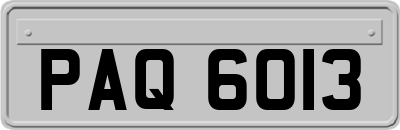 PAQ6013
