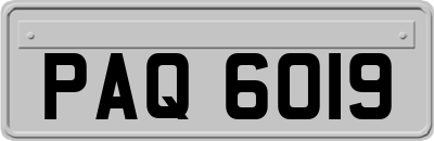 PAQ6019
