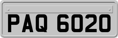 PAQ6020
