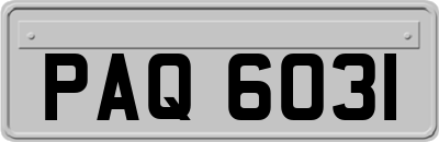 PAQ6031