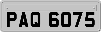 PAQ6075