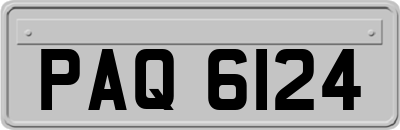 PAQ6124