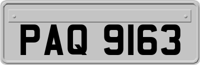 PAQ9163