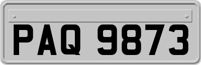 PAQ9873