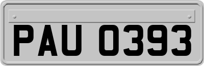 PAU0393