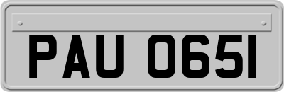 PAU0651