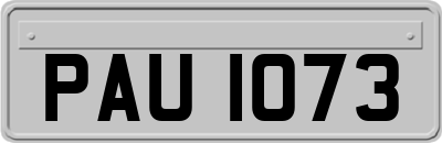 PAU1073
