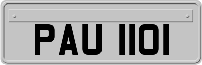 PAU1101